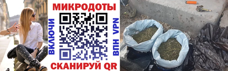 Галлюциногенные грибы MAGIC MUSHROOMS  Купить где  Вытегра 